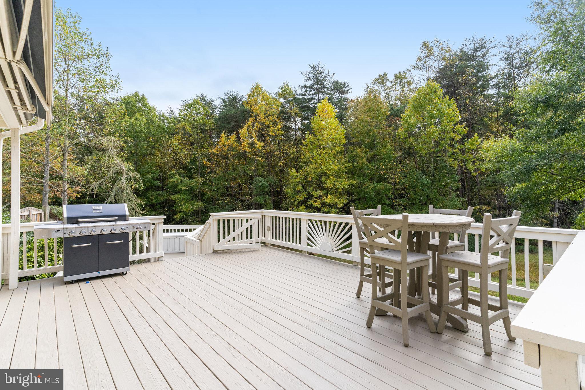 4826 Piney Branch Road Fairfax, VA 22030 - Photo 54 of 69 Gallery Image 54