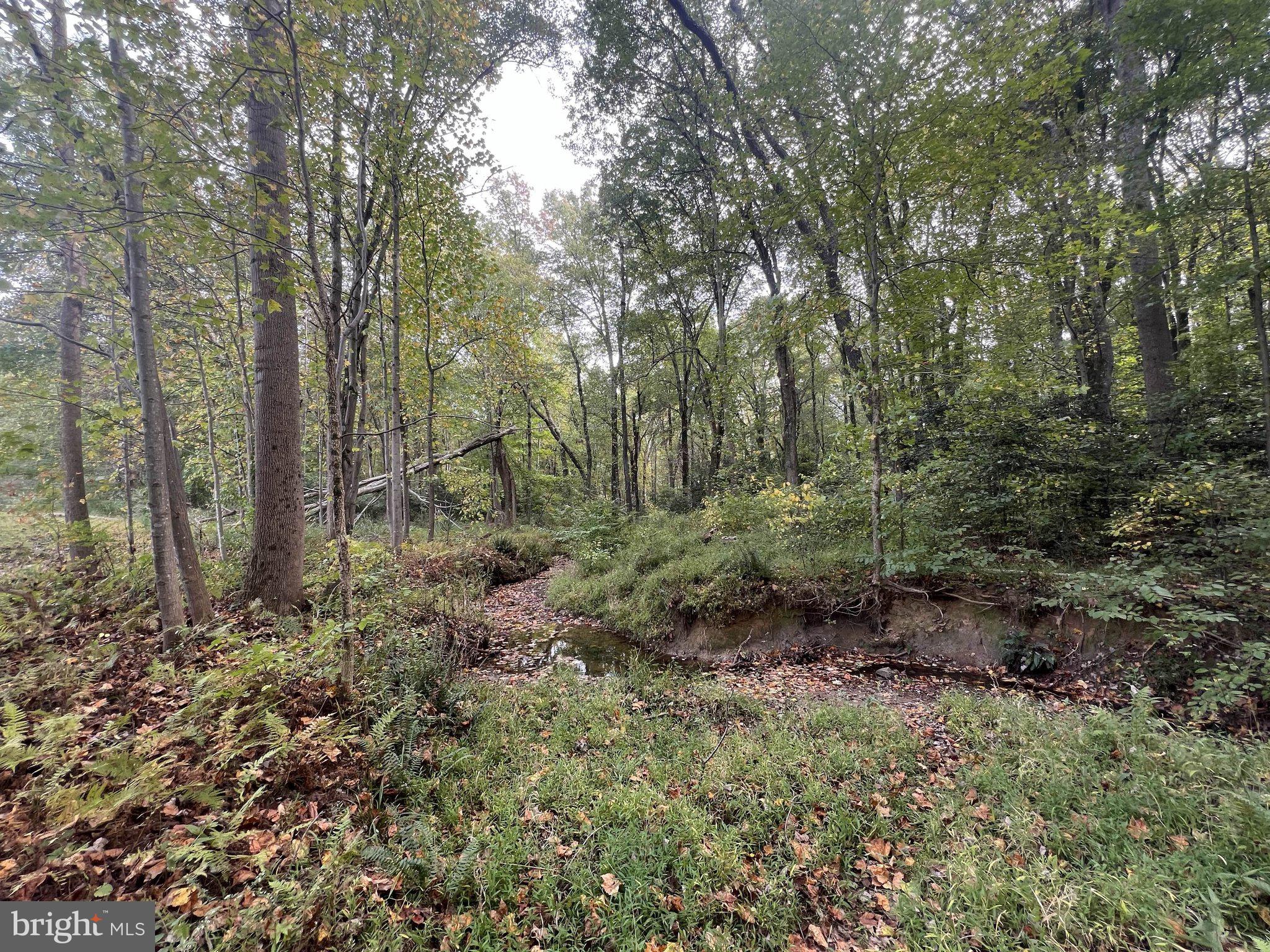 4826 Piney Branch Road Fairfax, VA 22030 - Photo 65 of 69 Gallery Image 65