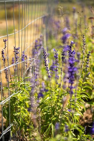 a view of yard with an outdoor space