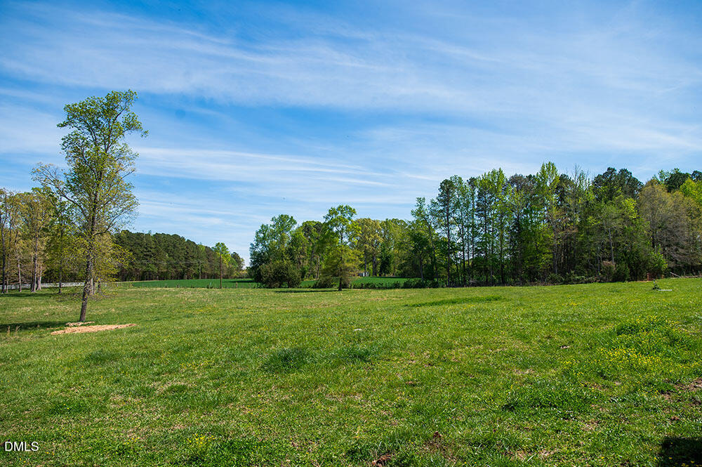 75 Frank Timberlake Road Timberlake, NC 27583 - Photo 91 of 93 a view of a grassy field with trees in the background