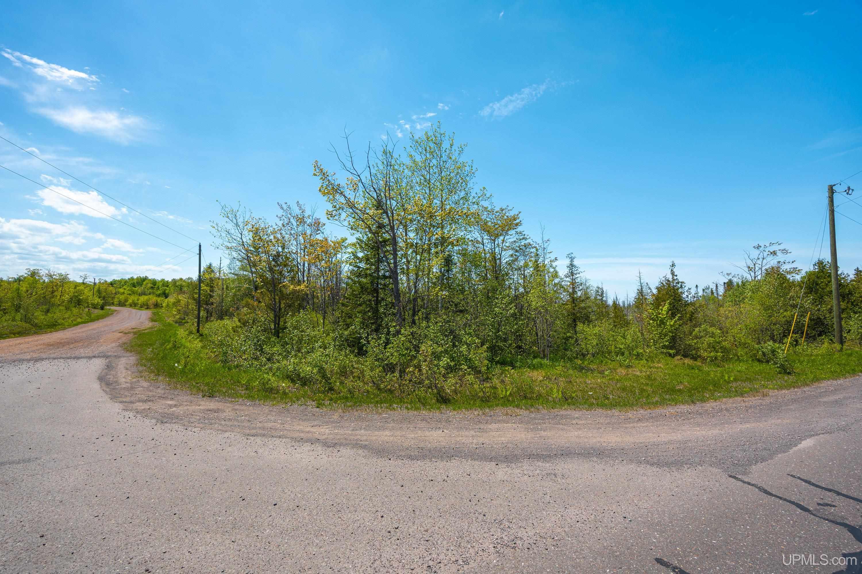 Lot 1 Airport Road, Unit CO RD 35B Calumet, MI 49913 - Photo 1 of 19
