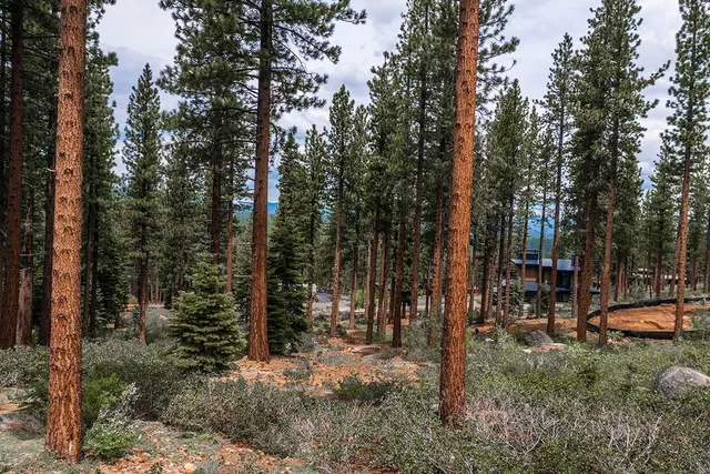 $2,895,000 | 9501 Cloudcroft Court, Truckee, CA 96161
