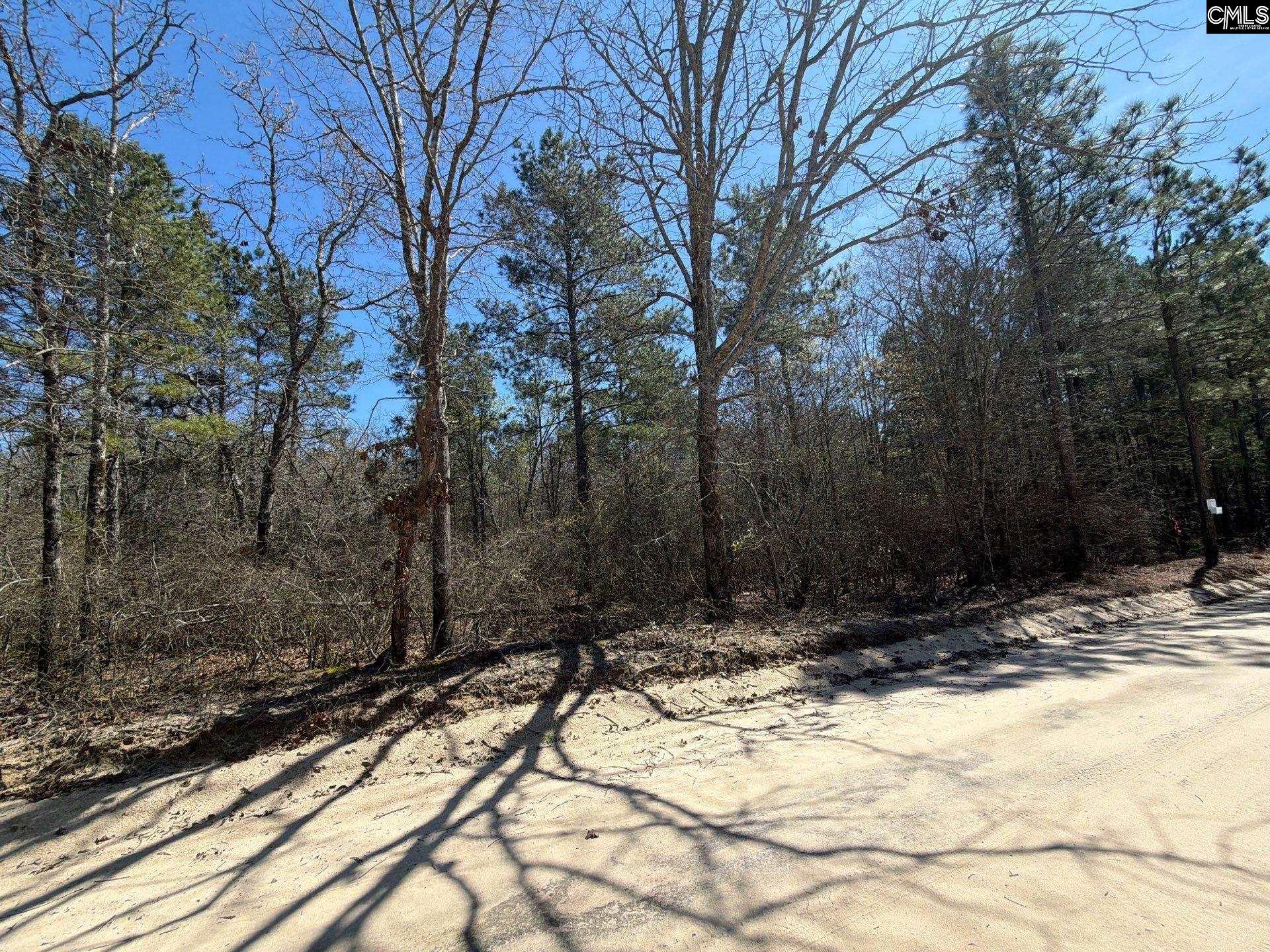 13 Boise Cascade Road, Unit BHL 13 Bethune, SC 29009 - Photo 28 of 31