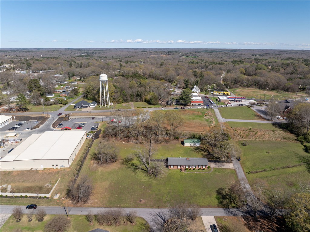 300 Green Street Williamston, SC 29697 - Photo 36 of 47 An aerial perspective reveals a charming residential property surrounded by expansive green spaces and community amenities.