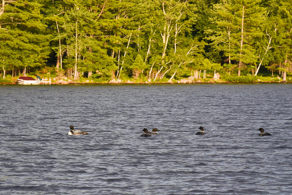 60 Kal Shore Road Norway, ME 04268 - Photo 8 of 59 60 Kal Shore Road (second set) (4 of 21)