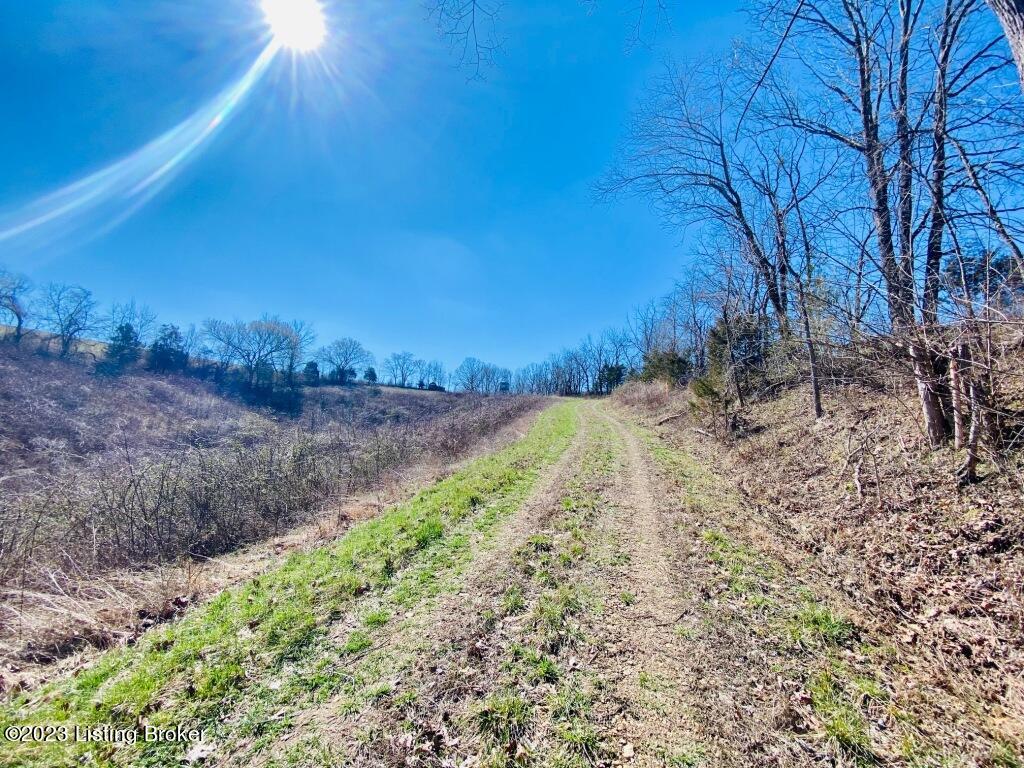 1945 Long Run Road Springfield, KY 40069 - Photo 73 of 81 IMG_2528