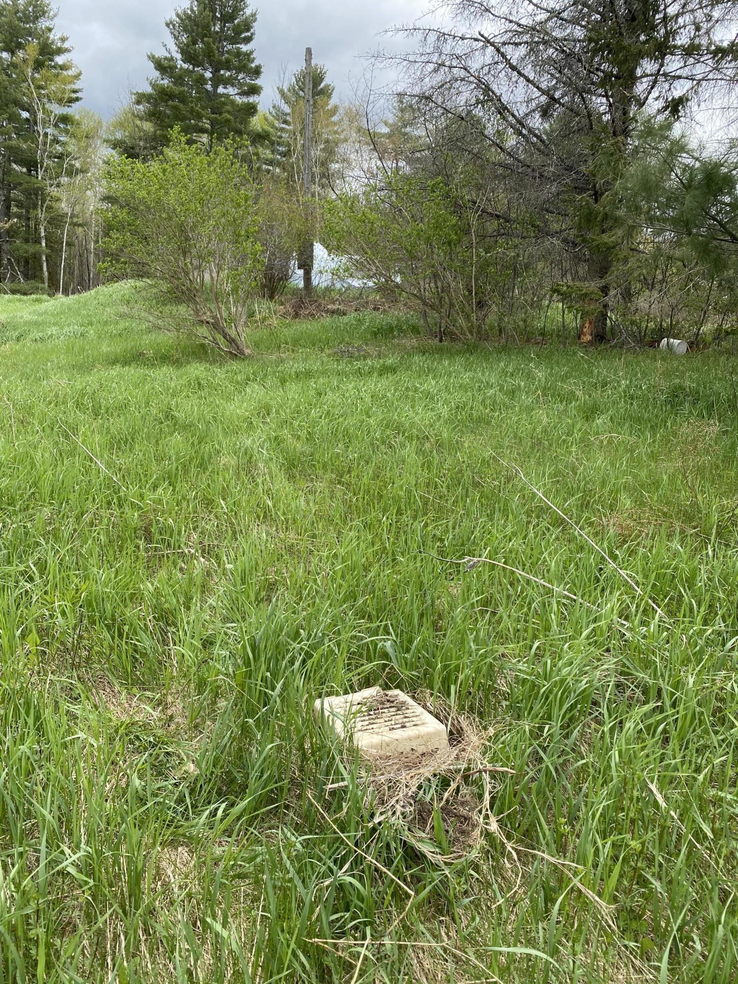 987 Corinna Road St. Albans, ME 04971 - Photo 26 of 31 A1D38CE3-F952-4530-89F4-F45ED89997E5