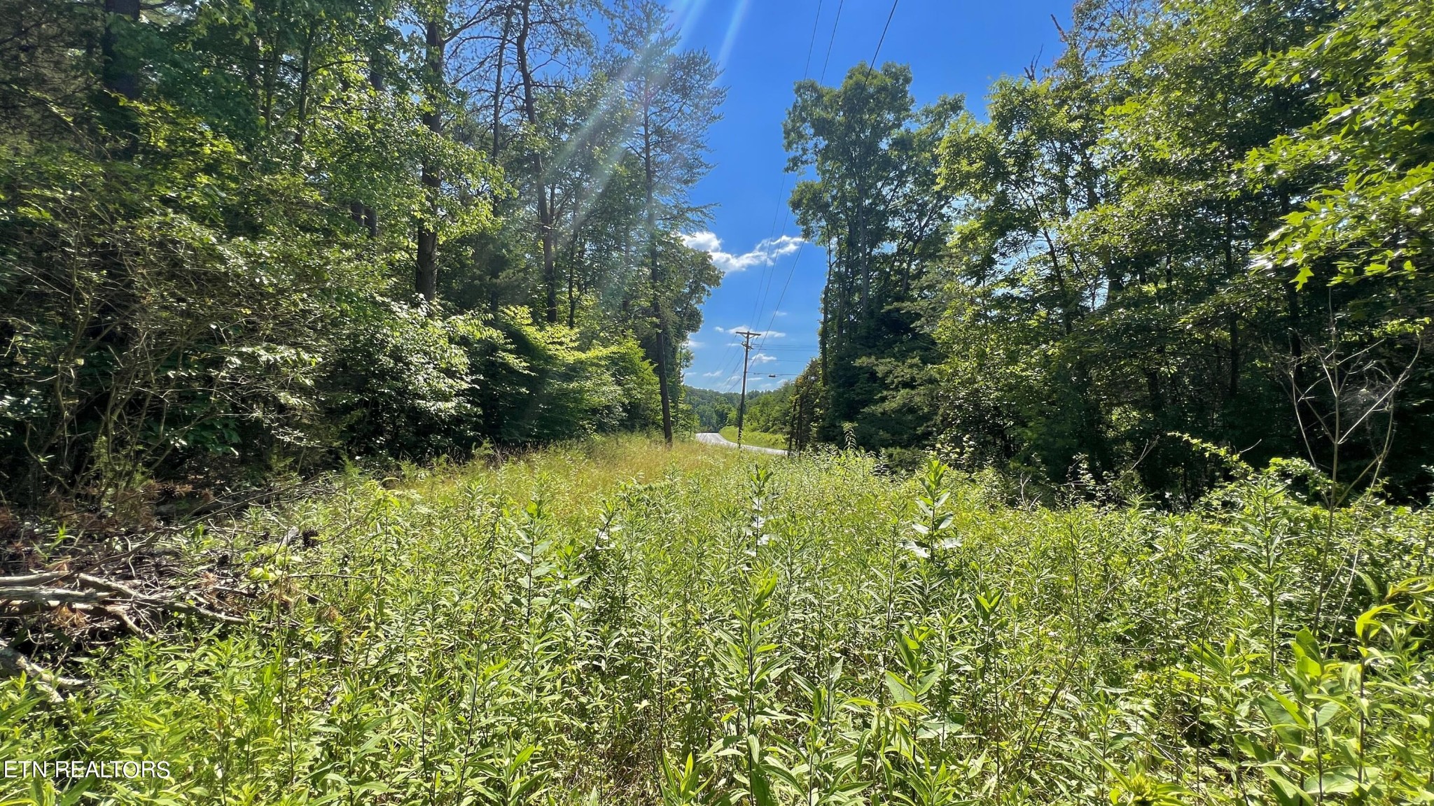 1790 Kerr Road Sevierville, TN 37876 - Photo 22 of 23 a view of a garden