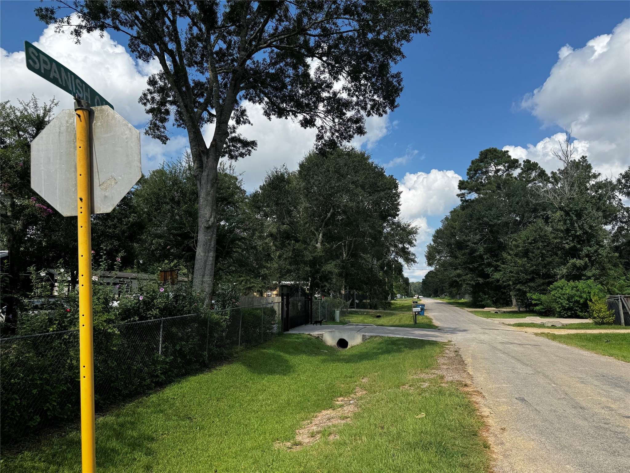 17625 Spanish Oak Conroe, TX 77306 - Photo 12 of 14 a view of a park