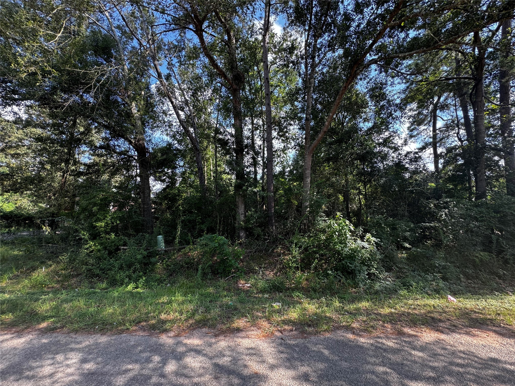 17625 Spanish Oak Conroe, TX 77306 - Photo 3 of 14 a view of outdoor space and trees