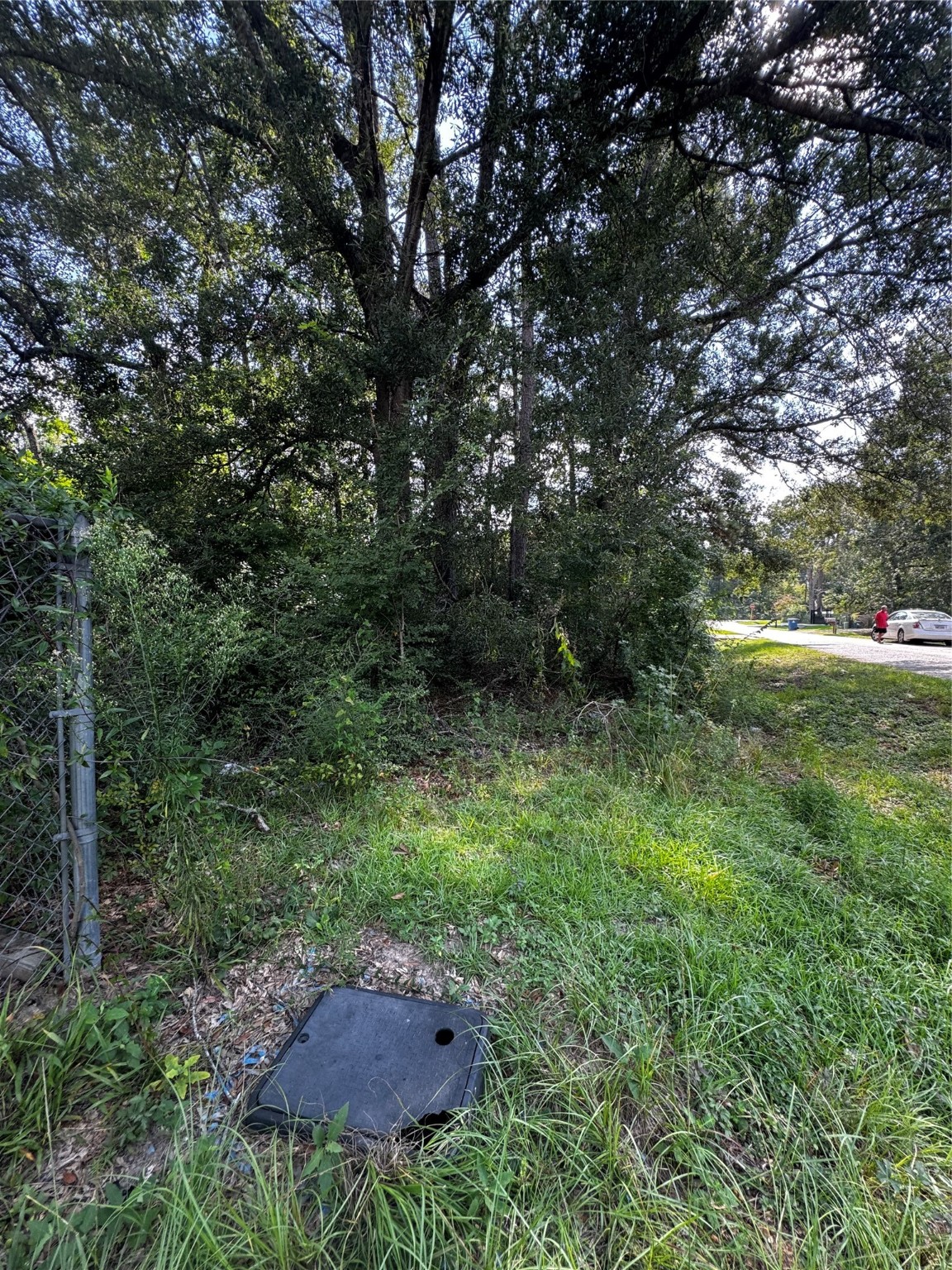 17625 Spanish Oak Conroe, TX 77306 - Photo 7 of 14 a view of outdoor space and yard