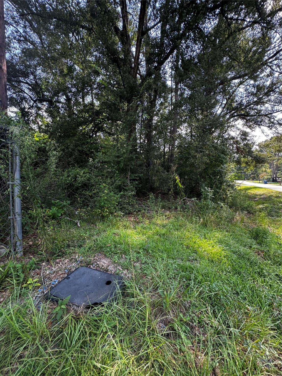 17625 Spanish Oak Conroe, TX 77306 - Photo 8 of 14