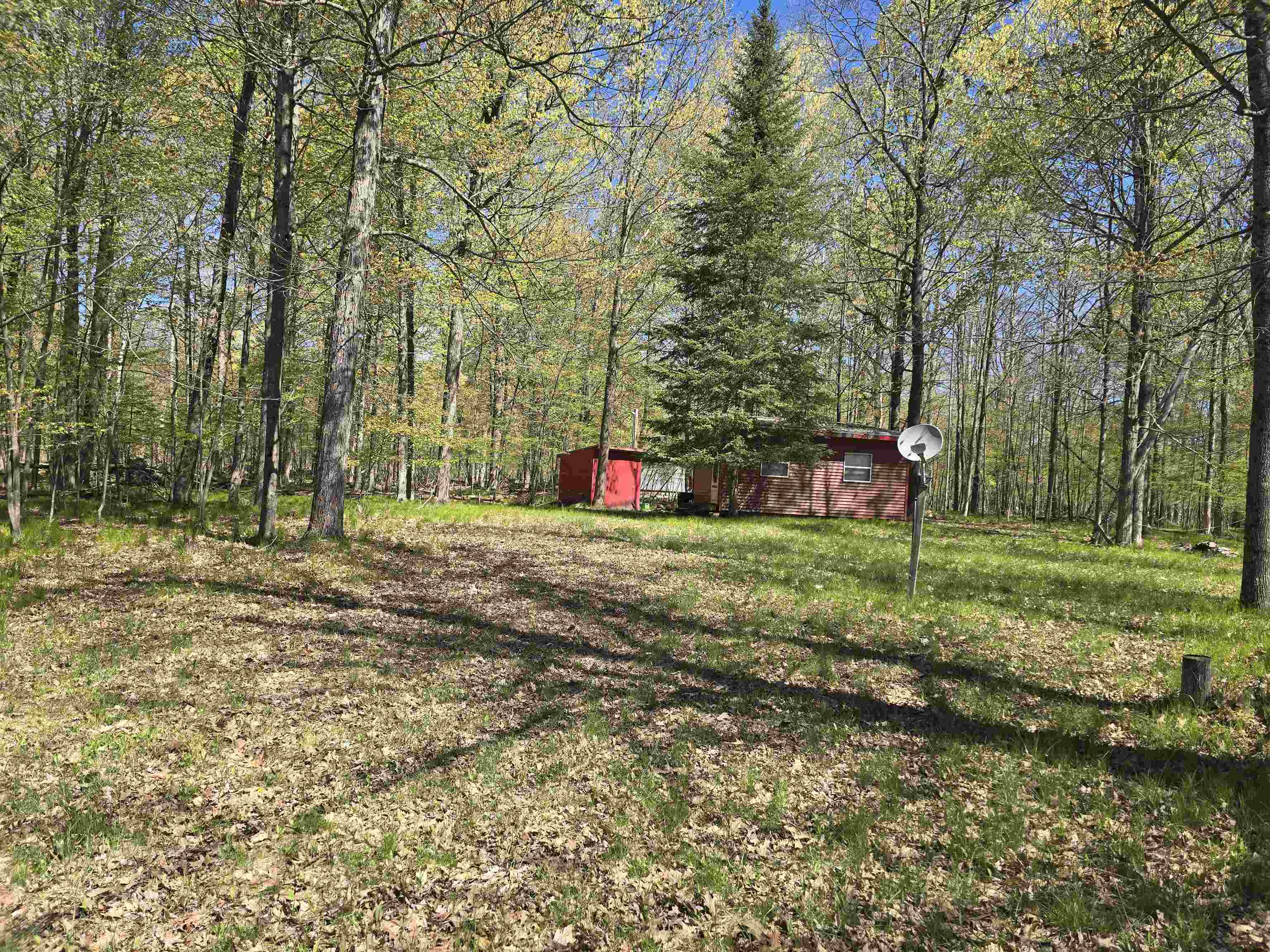 10096 Grindstone Road Evart, MI 49631 - Photo 10 of 17