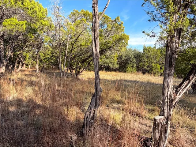 $119,900 | Tbd Terra Vista Court, Canyon Lake, TX 78133