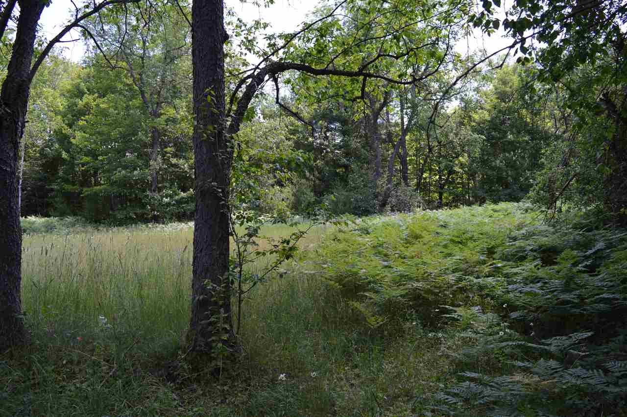 4346 Sunset Trail Road Northeast Kalkaska, MI 49646 - Photo 13 of 17 1864204-14.JPG