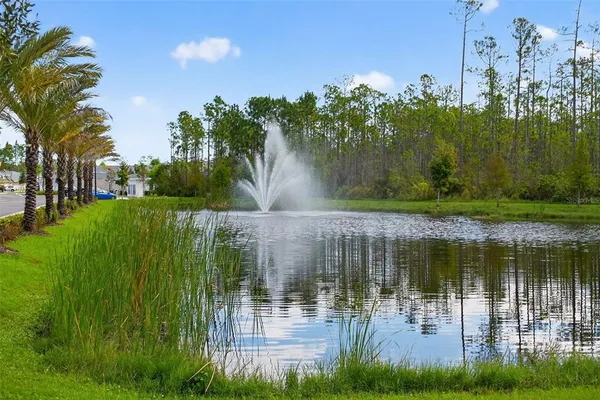 a view of lake and city