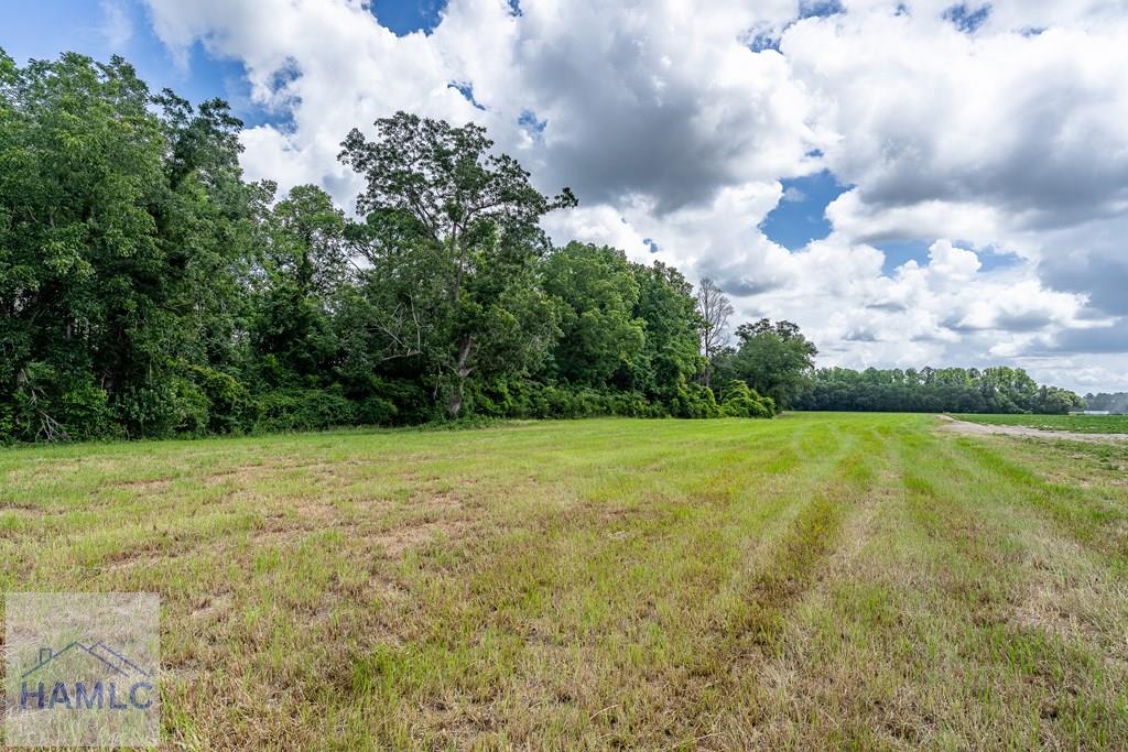 0 Nesbit Road Jesup, GA 31545 - Photo 22 of 35 Gallery Image 22