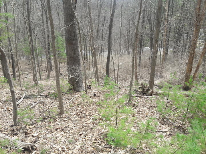 Christian Hill Road Milford, PA 18337 - Photo 12 of 22