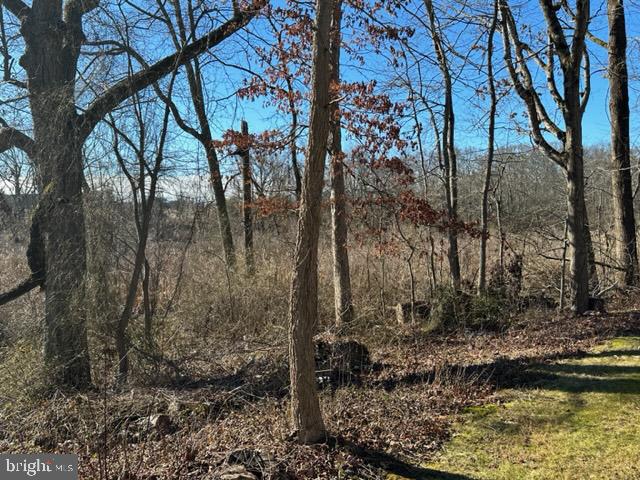 567 Edison Drive Hightstown, NJ 08520 - Photo 15 of 60 Woods Opposite Front Door