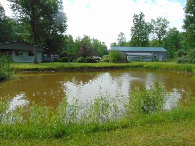 7137 Schmied Road Edmore, MI 48829 - Photo 4 of 36