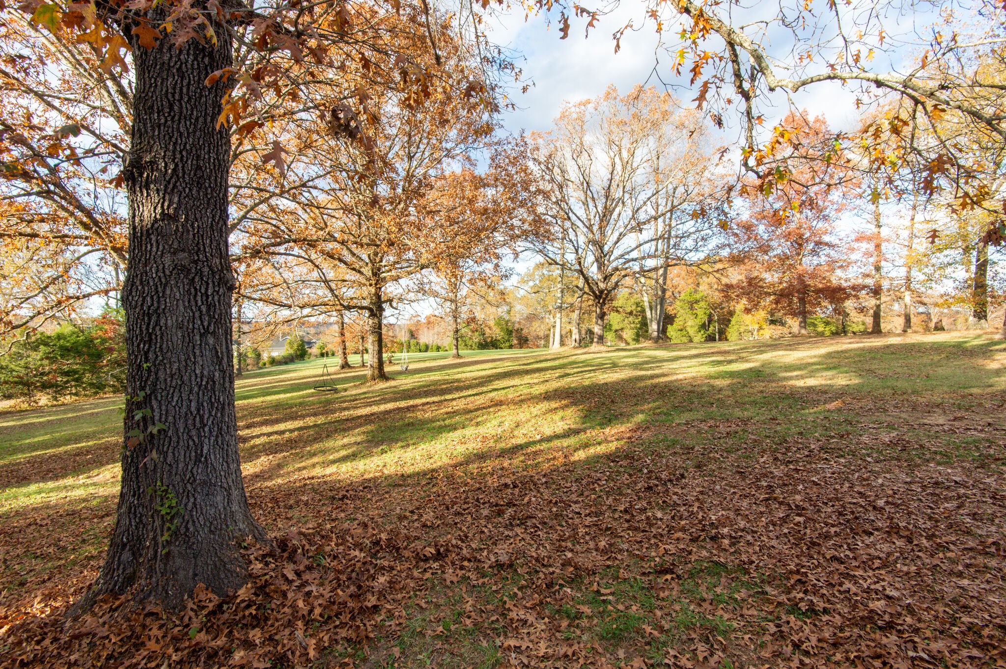 1031 Shelton Road Charlotte, TN 37036 - Photo 30 of 50 Gallery Image 30