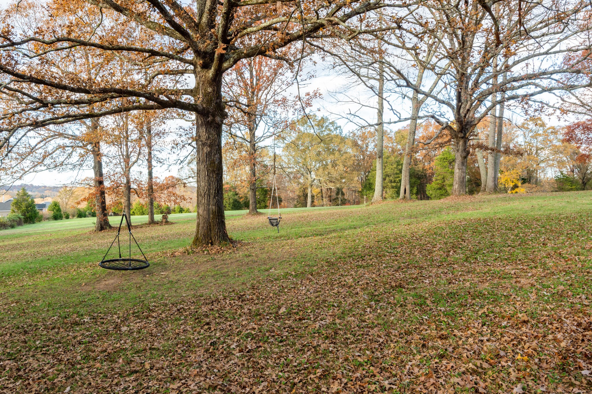 1031 Shelton Road Charlotte, TN 37036 - Photo 33 of 50 Gallery Image 33