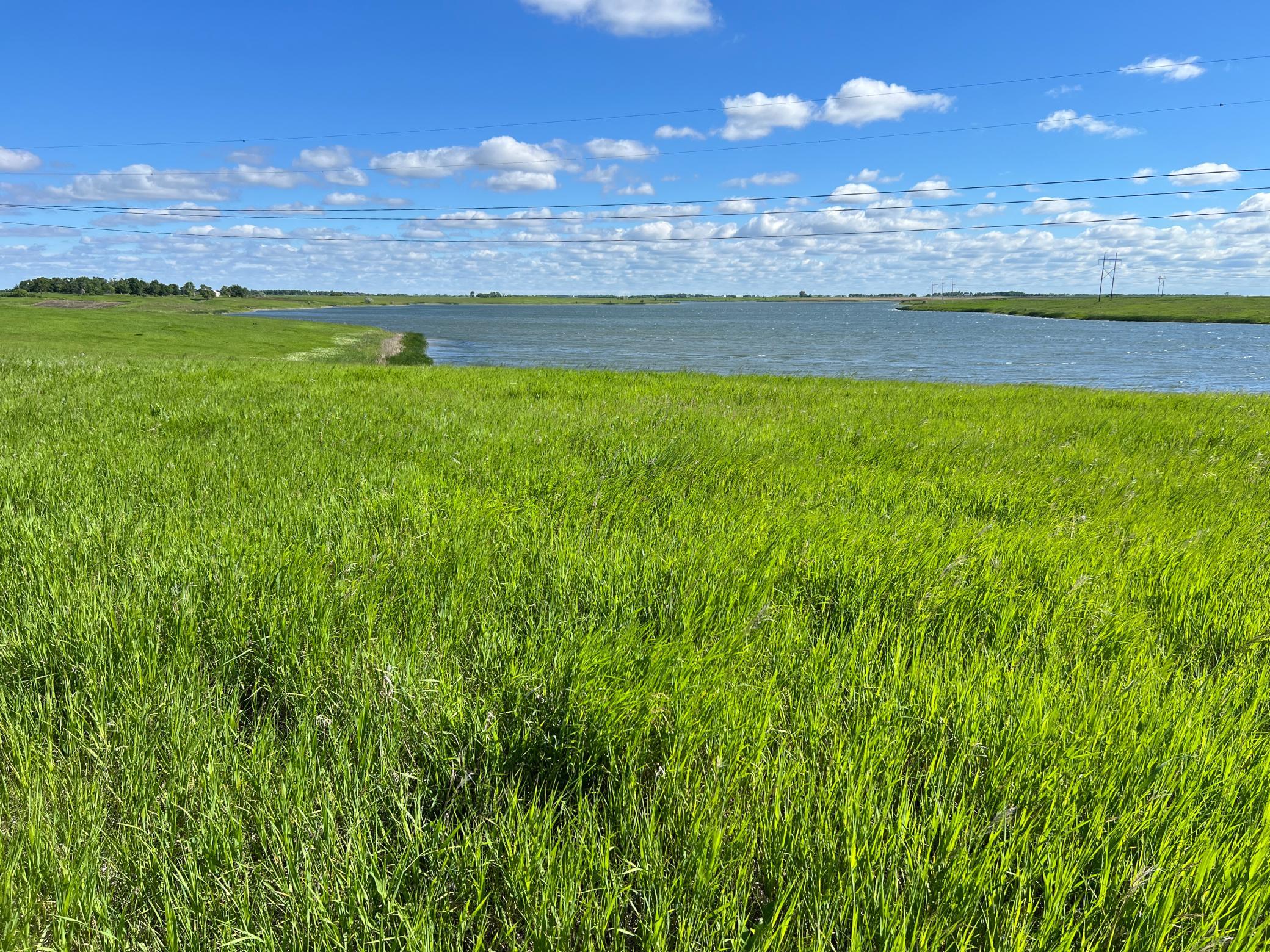 Tbd Southeast Tbd Se 90th Street Rutland, ND 58067 - Photo 73 of 105
