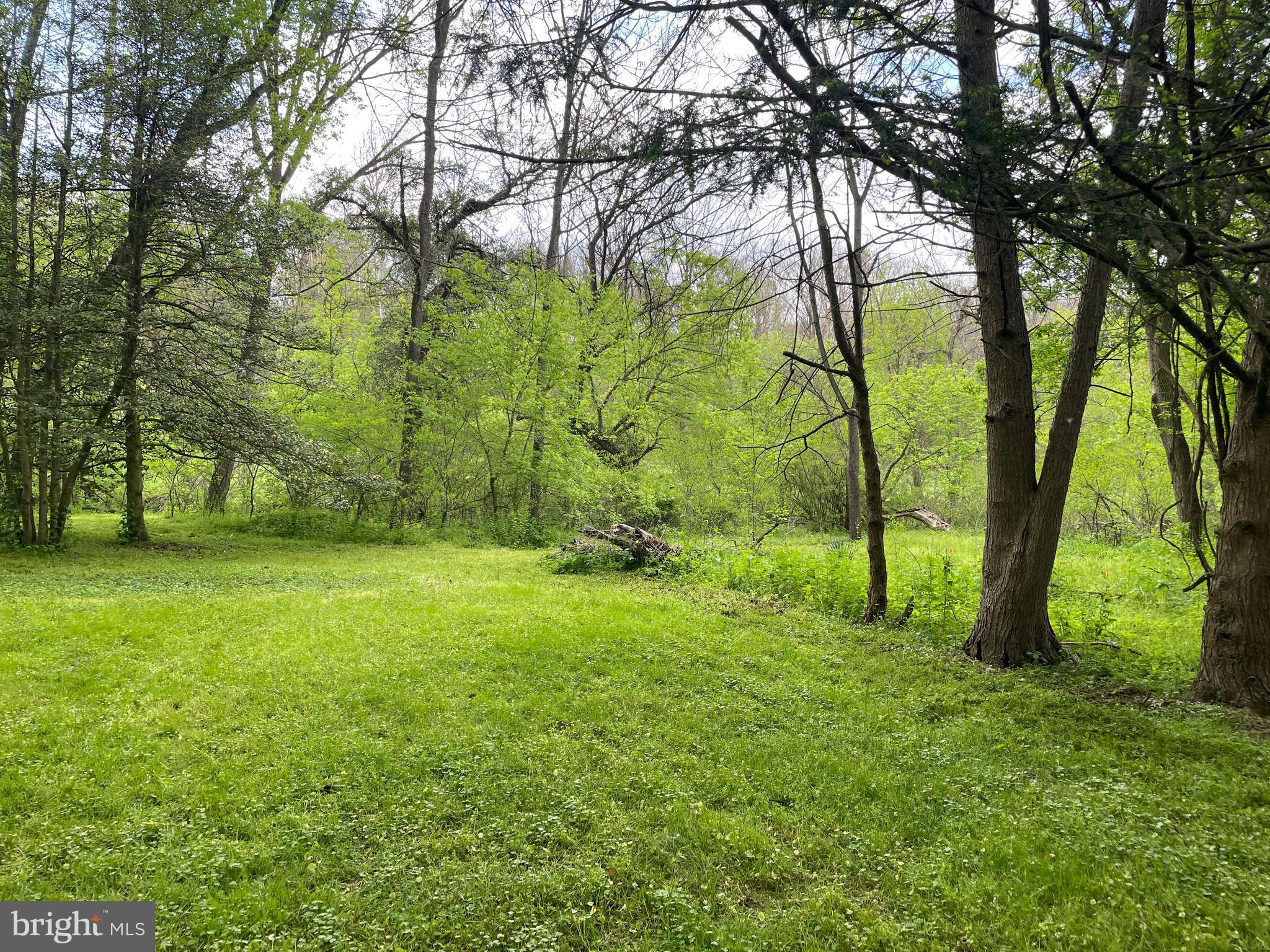 0 River Road Pequea, PA 17565 - Photo 11 of 28 a view of outdoor space with deck and yard