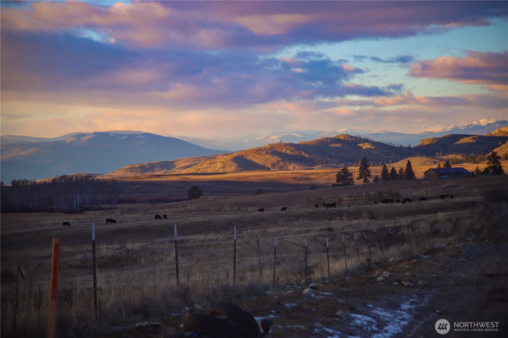 0 Red Feather Road Riverside, WA 98849 - Photo 18 of 29 a view of a yard with mountain view