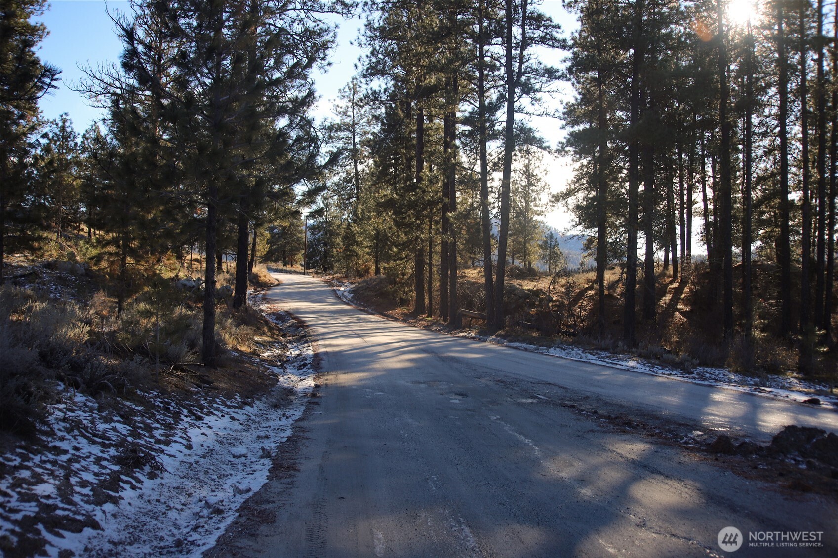 0 Red Feather Road Riverside, WA 98849 - Photo 24 of 29 a view of road with trees