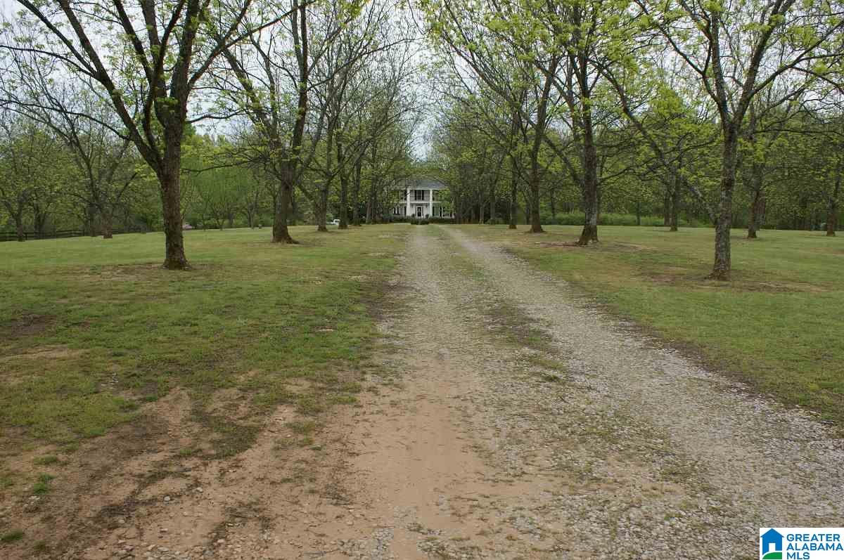 5935 South Shades Crest Road Bessemer, AL 35022 - Photo 28 of 34 Gallery Image 28