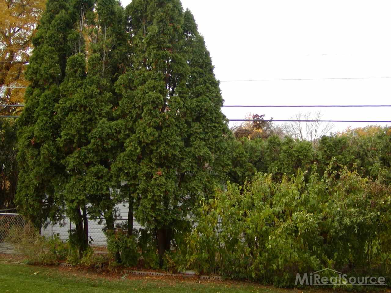27463 Hoover Road Warren, MI 48093 - Photo 2 of 10 31218234-1.JPG