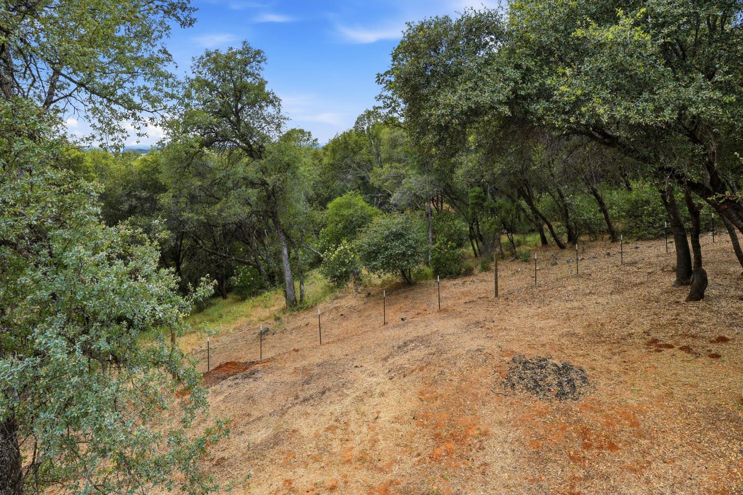 3427 Excalibar Road Placerville, CA 95667 - Photo 58 of 69