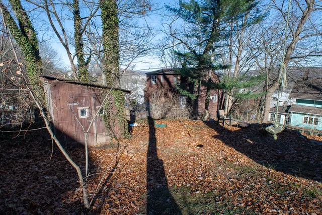 a view of a pathway with a tree in front of it