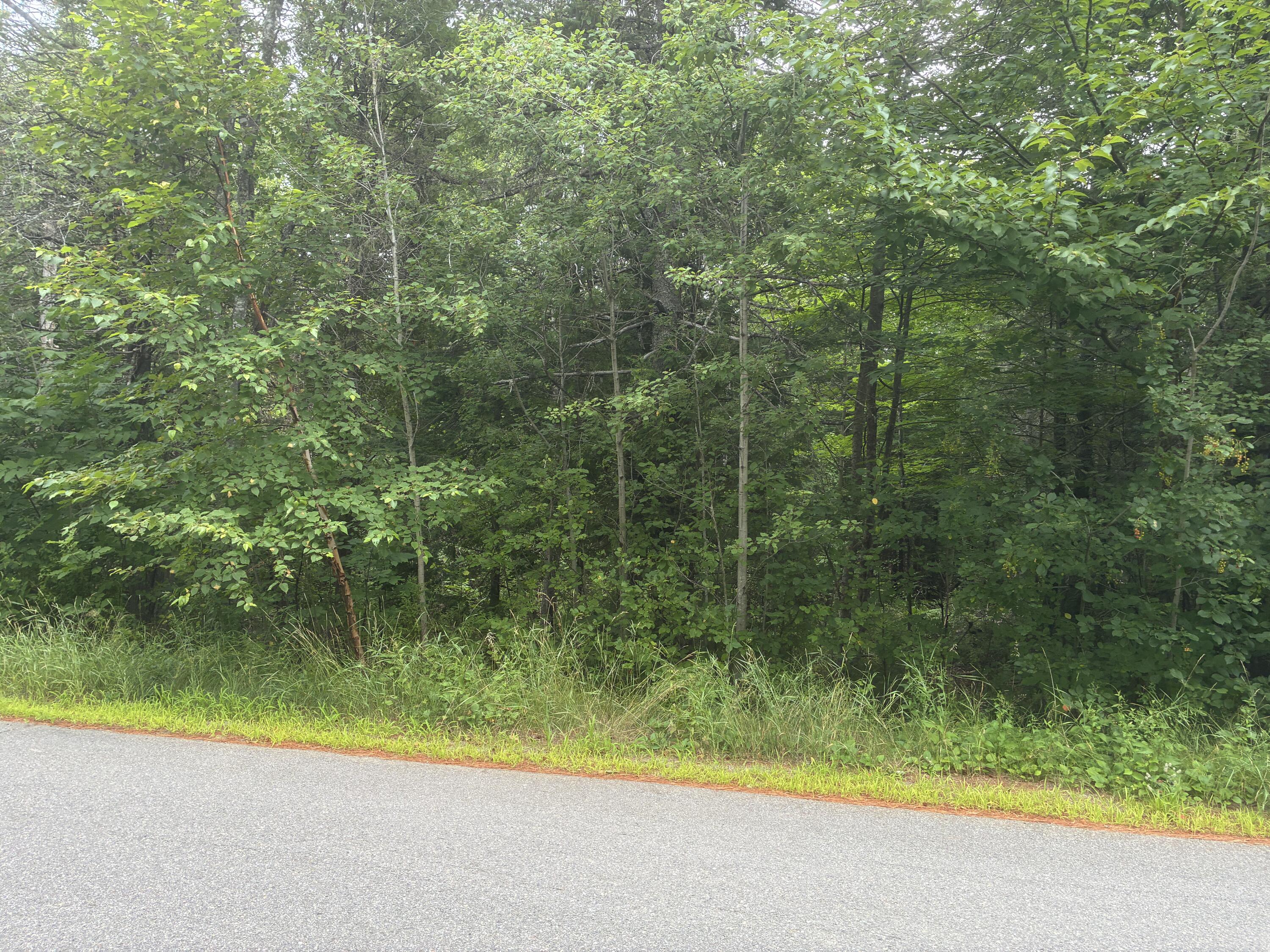 M30-l1b Carson Road Calais, ME 04619 - Photo 2 of 5 STREET VIEW 2
