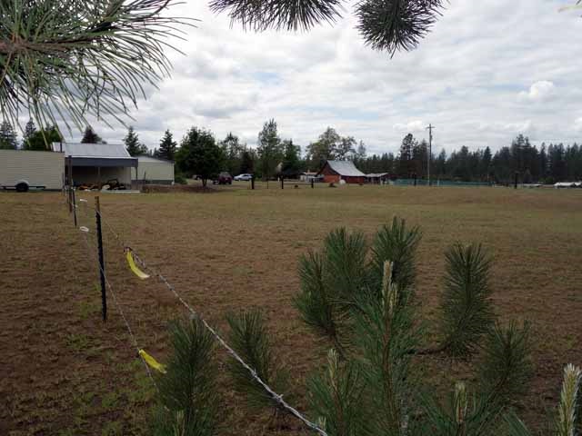 5204 East Handy Road Colbert, WA 99005 - Photo 8 of 20