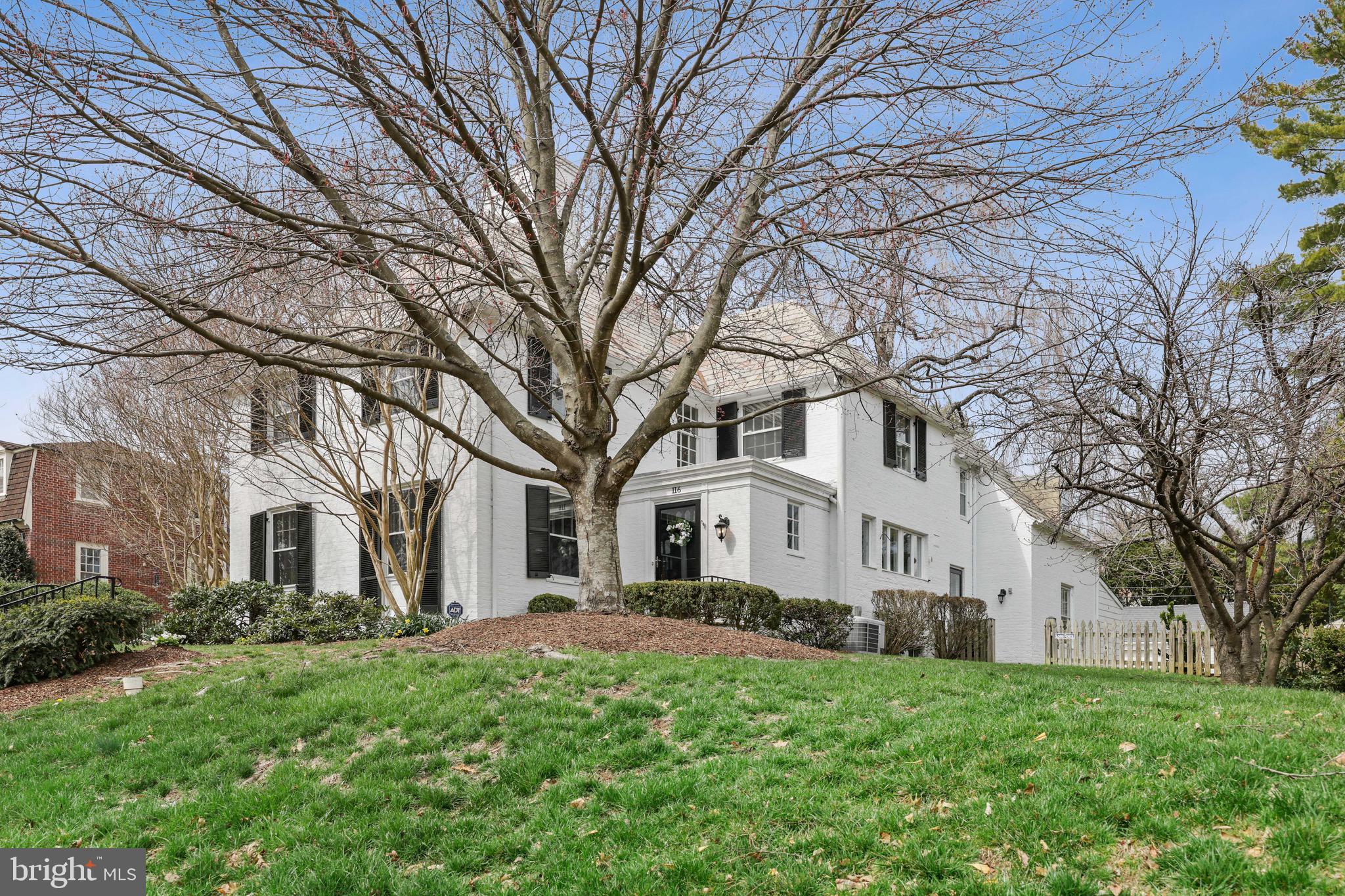 116 Witherspoon Road Baltimore, MD 21212 - Photo 3 of 71 Multiple mature plantings