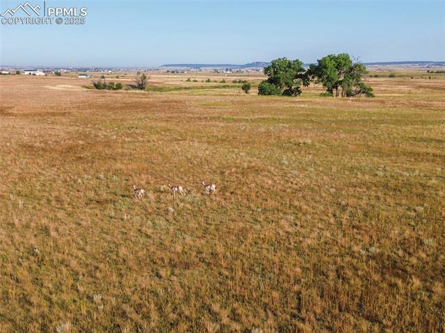 11950 North Log Road Peyton, CO 80831 - Photo 9 of 17 Gallery Image 9