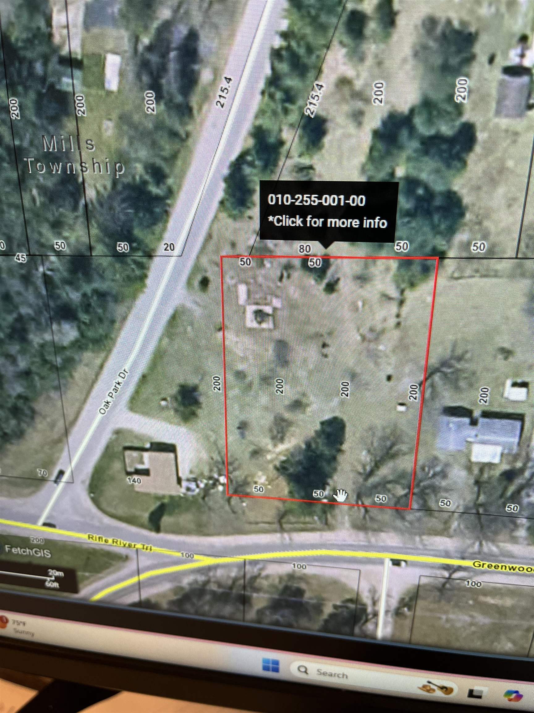 5235 Greenwood Road Prescott, MI 48756 - Photo 3 of 12