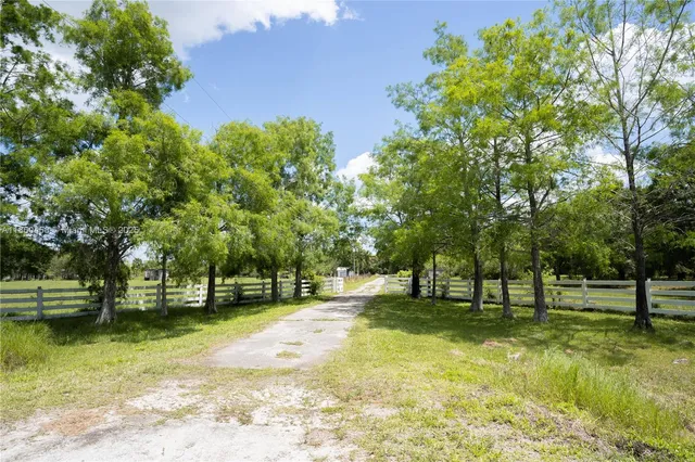 a view of a park with large trees