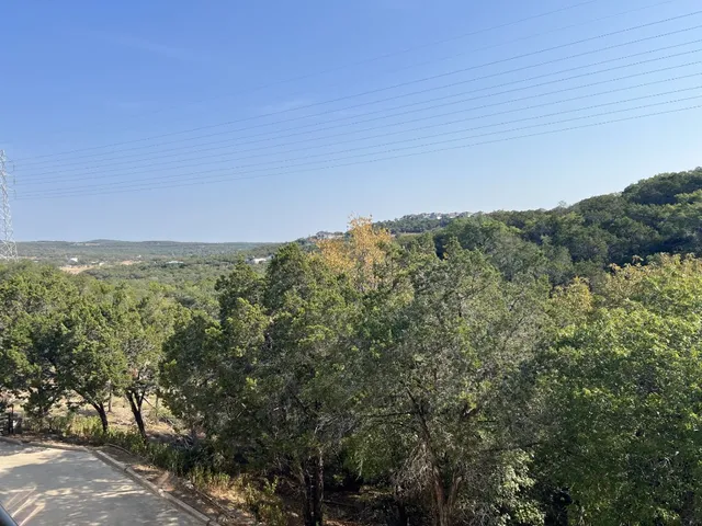 a view of a city with lush green forest