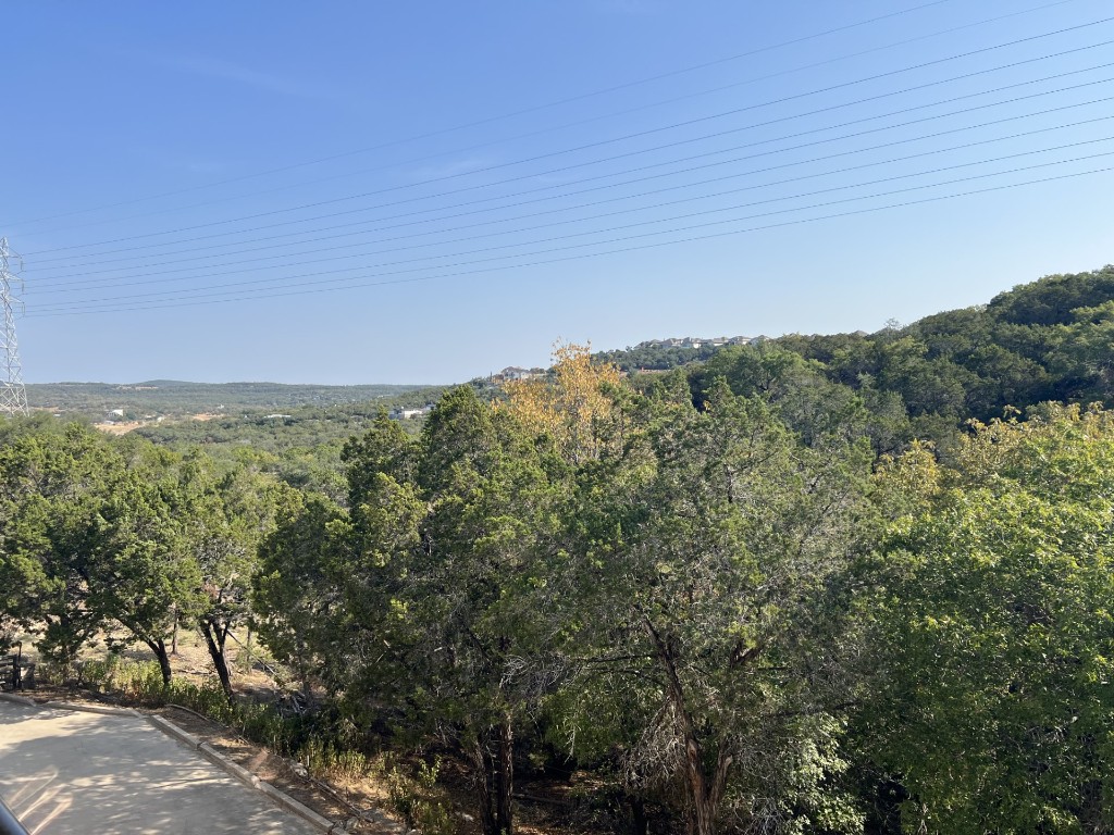 a view of a city with lush green forest