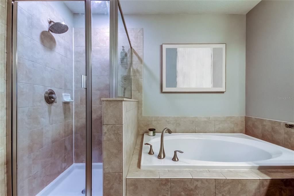 10141 Newminster Loop Ruskin, FL 33573 - Photo 52 of 77 a bath tub sitting next to a bathroom