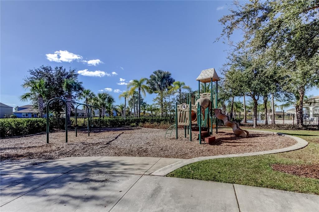 10141 Newminster Loop Ruskin, FL 33573 - Photo 69 of 77