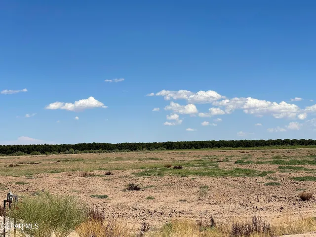 $1,950,000 | Tbd Tbd Island, Fabens, TX 79838