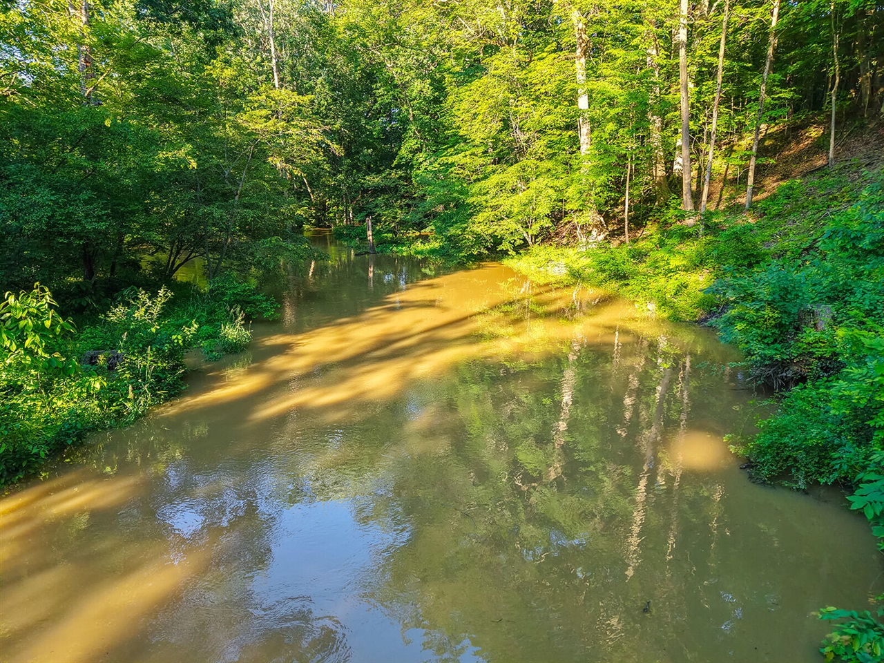 6697 Warren Woods Road Three Oaks, MI 49128 - Photo 85 of 99