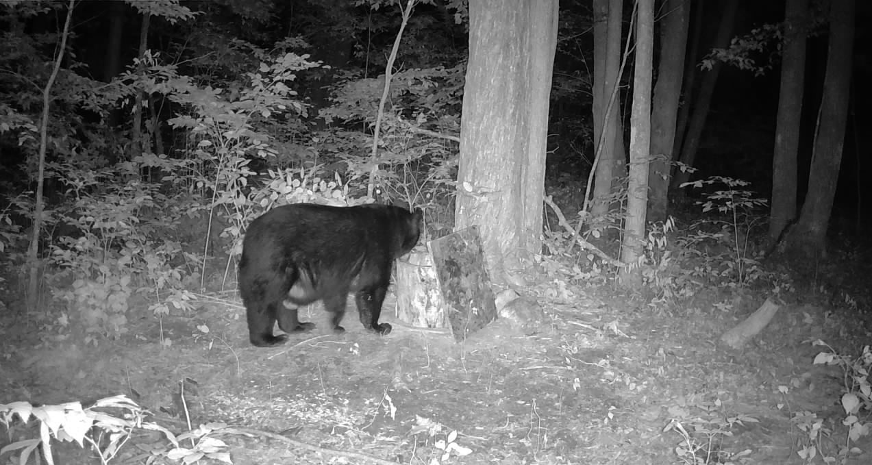 Ooo Snowshoe Road Wausau, WI 54403 - Photo 22 of 48