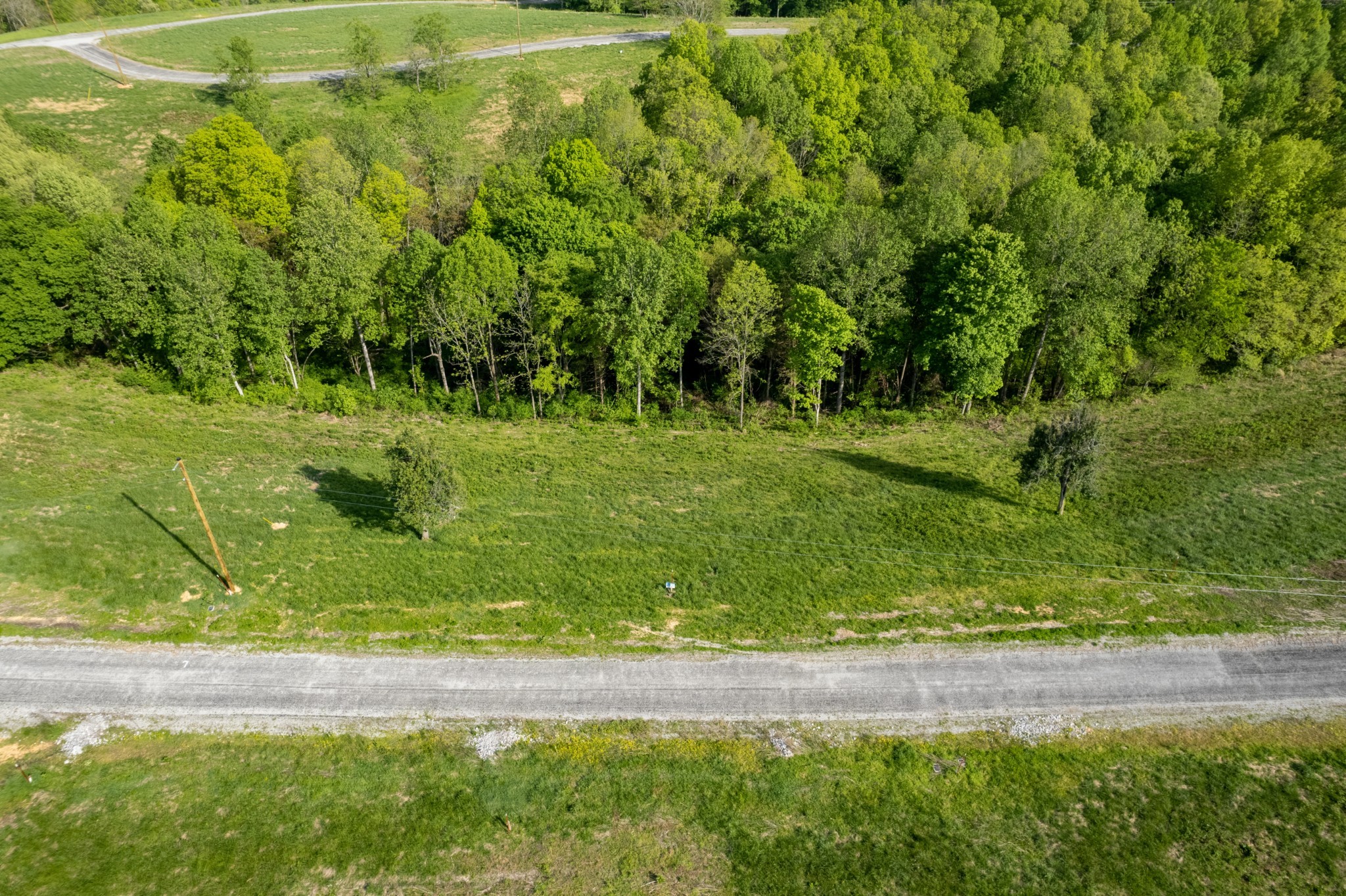 43 Eli Baxter, TN 38544 - Photo 2 of 3 a view of a yard with a tree