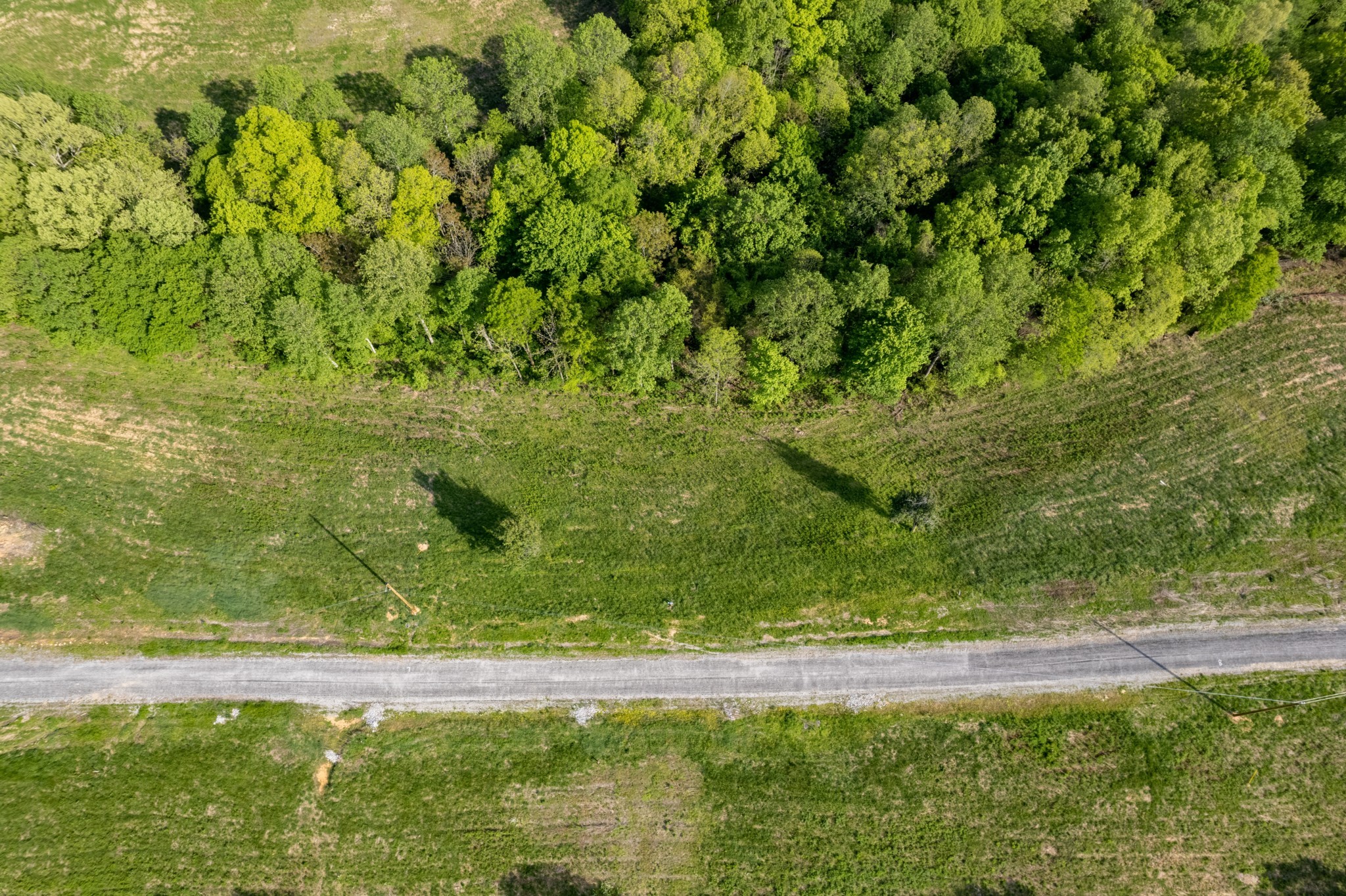 43 Eli Baxter, TN 38544 - Photo 3 of 3 a view of a yard