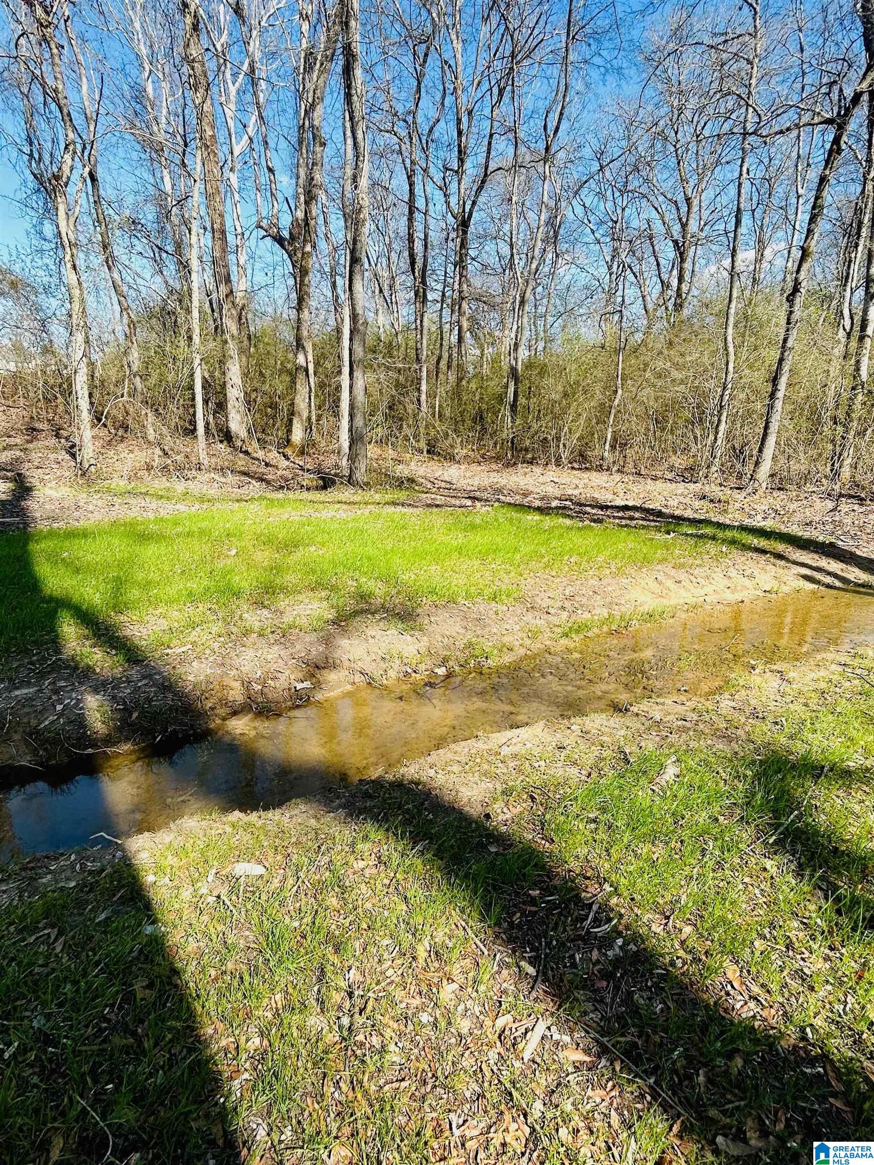 6357 Rocky Ford Road Gadsden, AL 35903 - Photo 14 of 18